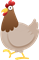 Kana pakkaus
