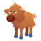 Highland Cow Answers