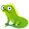 Iguana paquete